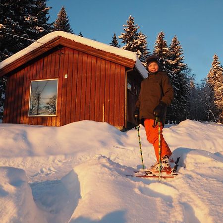 Cabin With Great View Close To Town And Ski Area 릴레함메르 외부 사진