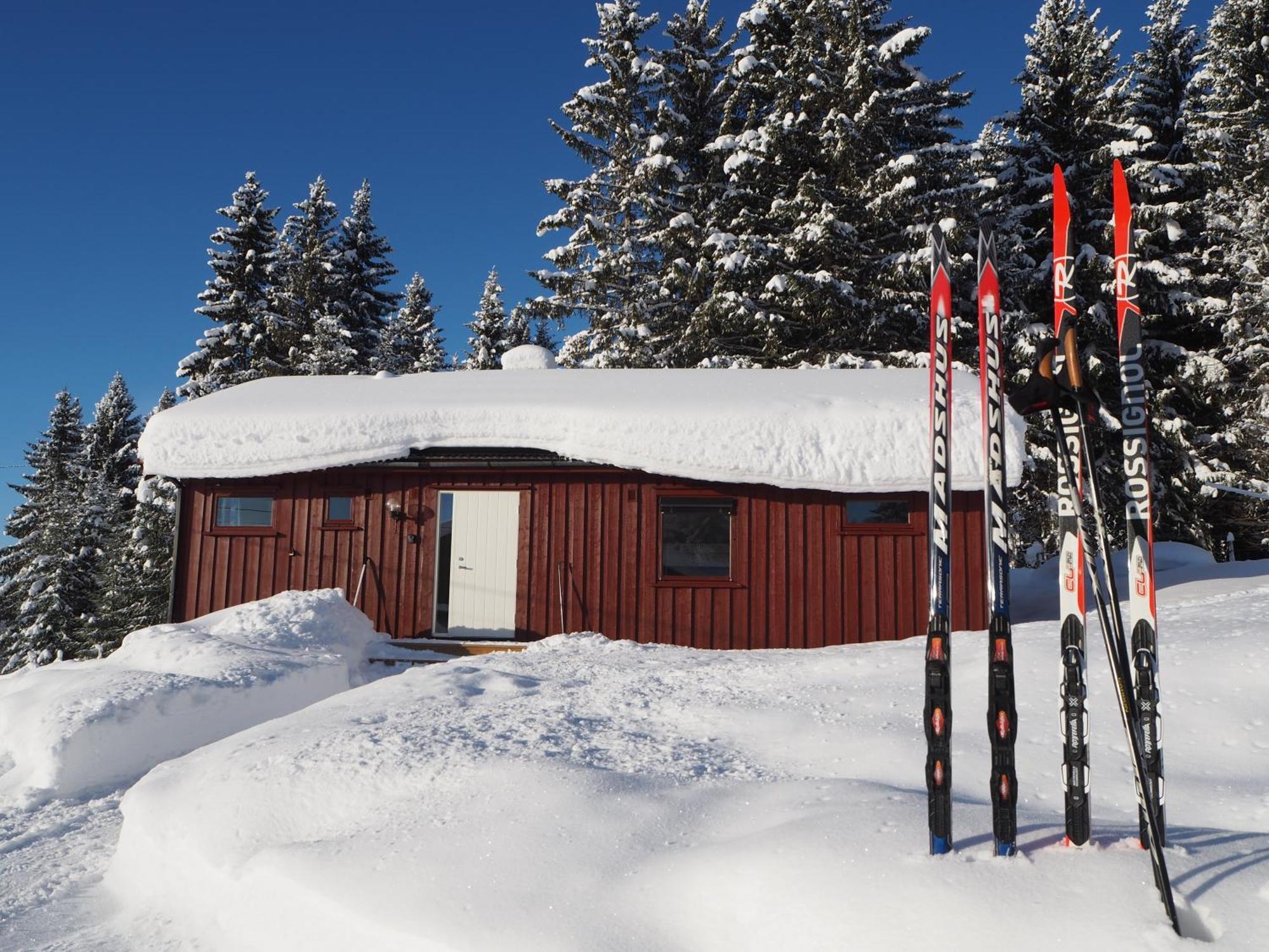 Cabin With Great View Close To Town And Ski Area 릴레함메르 외부 사진